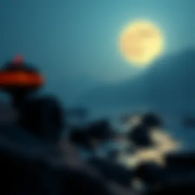 Magnificent Moonriver Cryptocurrency: An In-Depth Exploration
