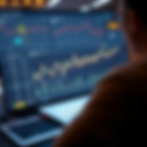 User interface of a premium crypto portfolio tracker