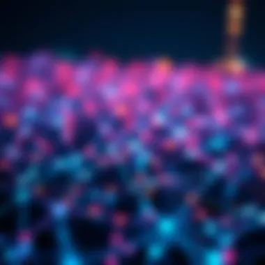 Understanding Blockchain Technology A blockchain network visual representation