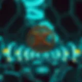 Exploring Kuswap: An In-Depth Analysis Introduction