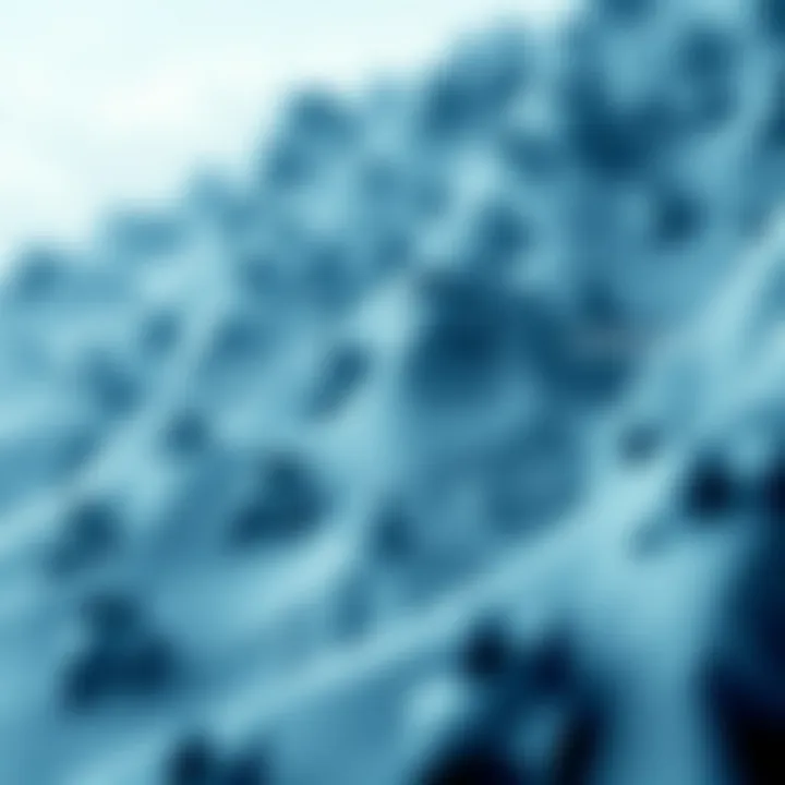 A diagram depicting the diverse applications supported by the Avalanche ecosystem