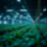 Understanding Coinbase Farming Visual representation of Coinbase farming concept