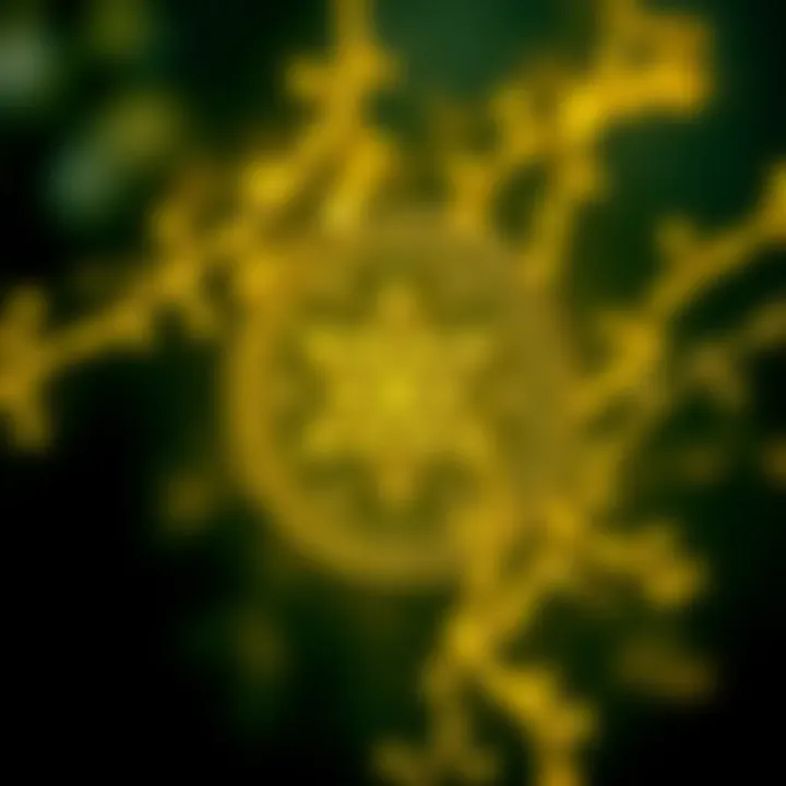 Hedera: A Comprehensive Examination of Its Role in the Cryptocurrency Ecosystem Introduction