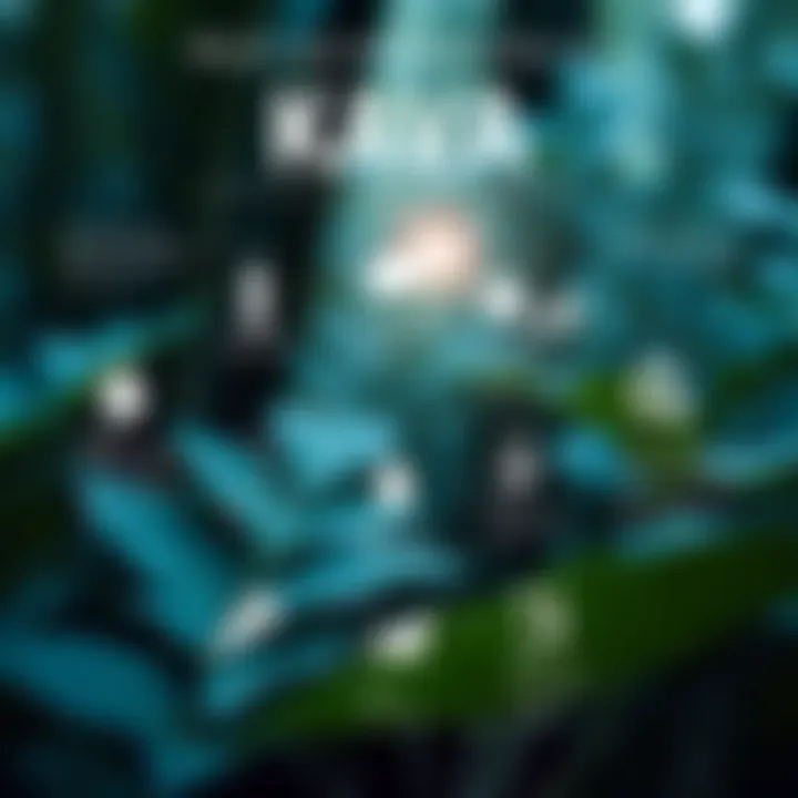 An infographic illustrating the benefits of kava