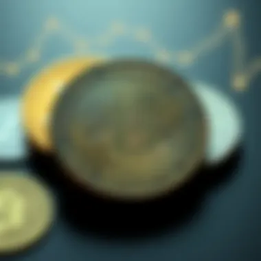 An infographic showing the categorization of cryptocurrencies