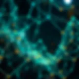 An intricate network representing crypto private equity funds