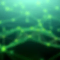 An overview of the Polygon Matic network architecture