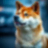 Understanding the Value of Shiba Inu Cryptocurrency Introduction